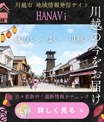 HANAVi